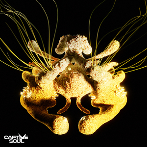 chese成熟老女人HD
