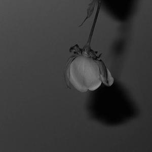 chese成熟老女人HD
