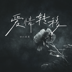 chese成熟老女人HD
