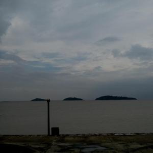 chese成熟老女人HD
